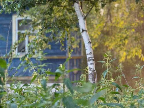 T1jglMzkYSPlHMnXtBBjm4xlL0xcbZyLCuJejqQAjVYzjZnIpNqpGzqVWExtBO8z6C9DOCQ5 1Gfq8euBxpvHp9S3C8tWq9FDhW2.jpg