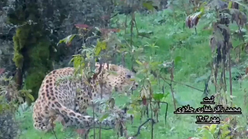 ap5fCPELu90mM jy.jpg