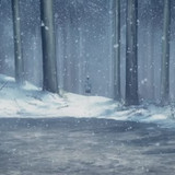 COLD 5