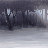 COLD 6