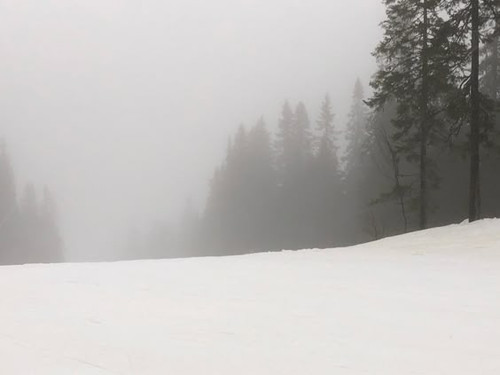 cold 10.jpg