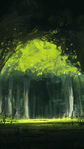 FLORESTA7.jpg