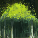 FLORESTA7