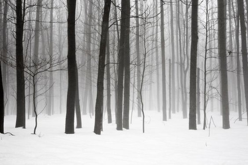 cold 7.jpg