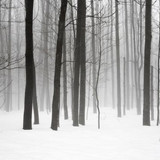 cold 7
