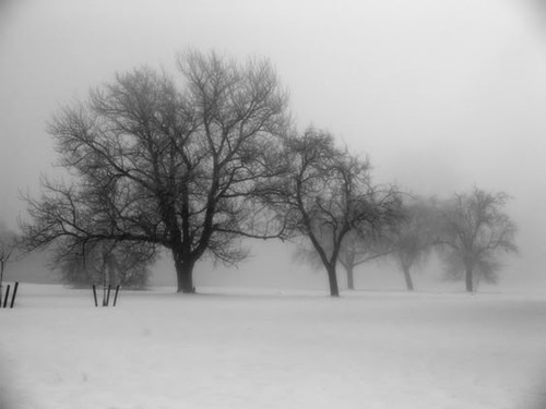 cold 8.jpg