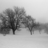 cold 8