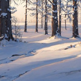 cold 13