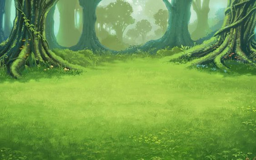 FLORESTA11.jpg