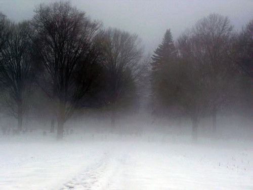 cold 9.jpg