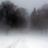 cold 9