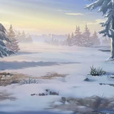cold 14