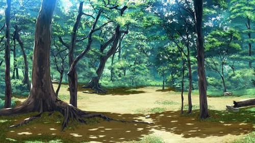 FLORESTA13.jpg