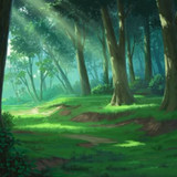 FLORESTA3