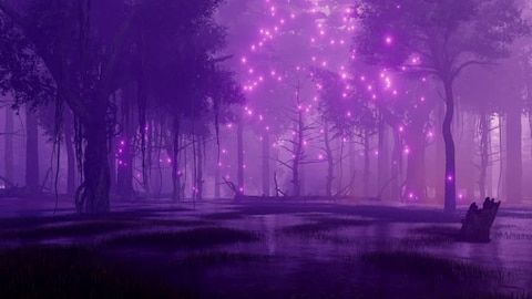 ROXO3.jpg