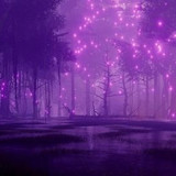 ROXO3