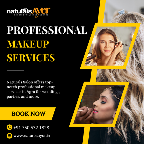 Need a professional makeup artist in Agra?.png