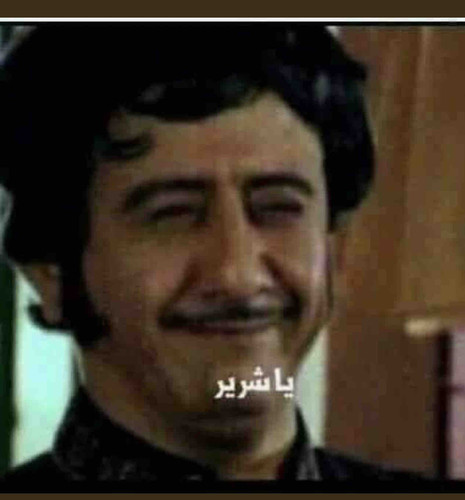 73CF1A6C F2DB 4F29 B050 7CDAA2CD9BEB.jpg