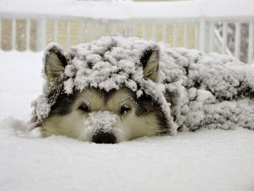 v2gKjCXY34wDDyt8QDuyVtY I9K902Ky22lTLbYIW4fAlcbKqshTwvEjB3GYnb44vlpvvHV75mC05QJuExR71 9tTYa9McMaSjn1.jpg