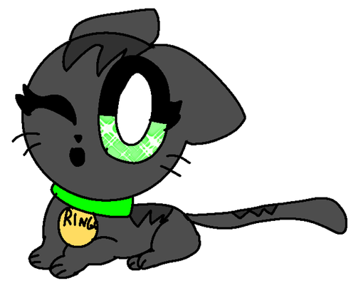 Ringo (Cat)