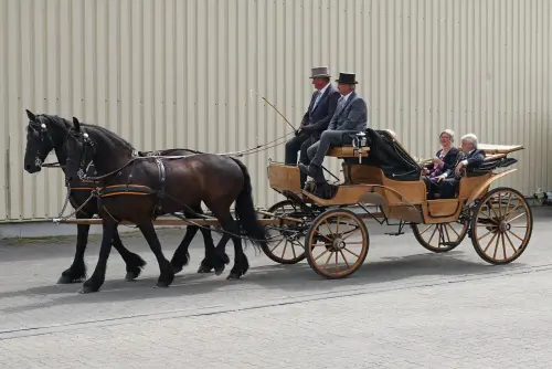 Foto vom Jubiläum 2022: HUF04871.webp