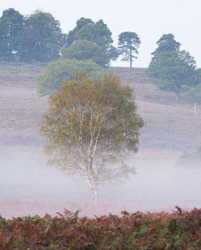 TKOamJCOq TQI8lv4ApYUXLOZ2ApxLE9Kv64E3LS86HMXvxcYDpEJ3Vcp1CkHH 12qP3R7tZGxutfw8 InZa05 9CVmVkhH1HdfX.jpg