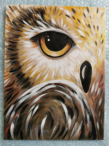 1728378980 226184470.jpg