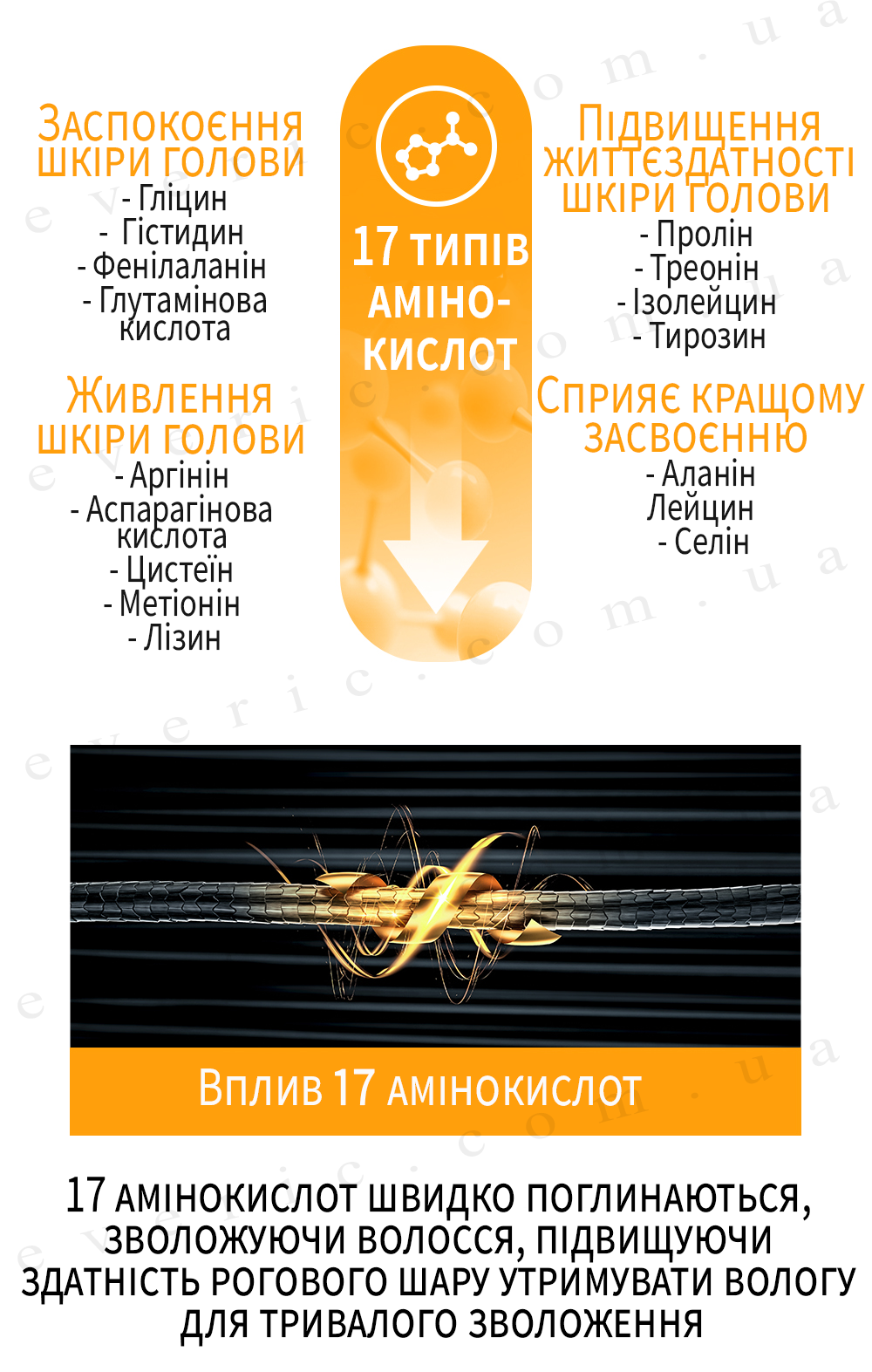 3 копия
