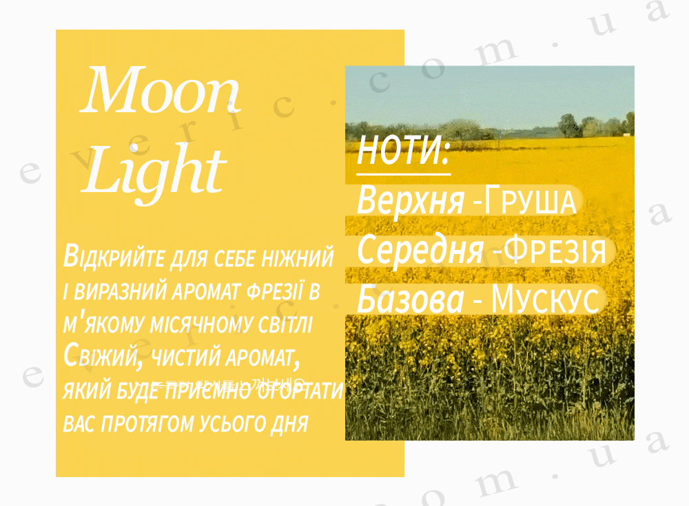 1 копия