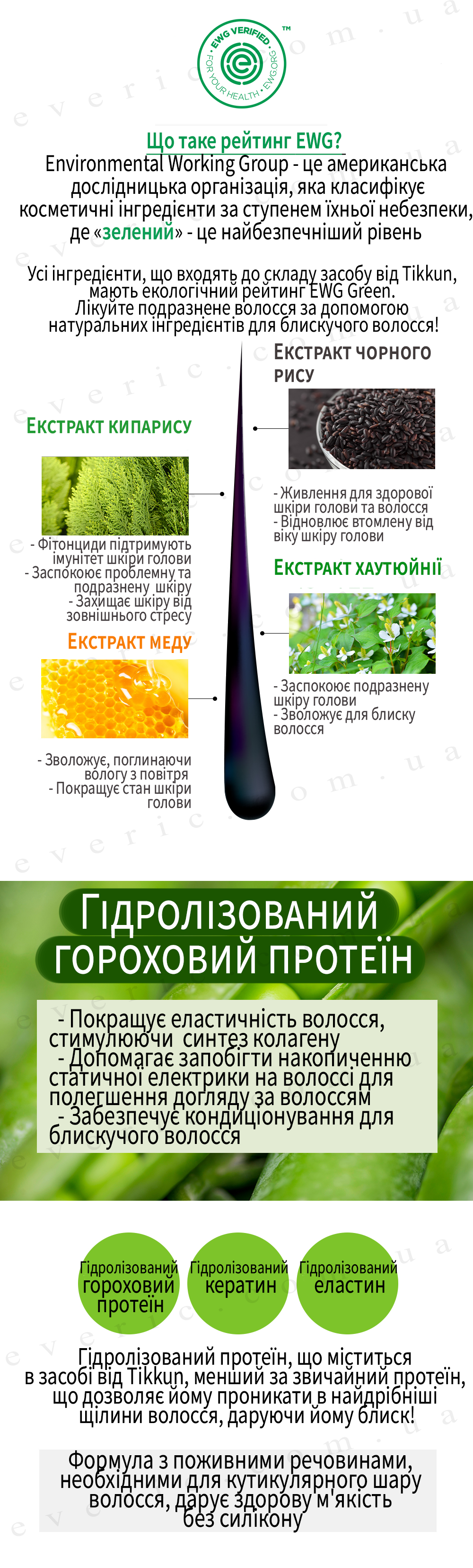 2 копия
