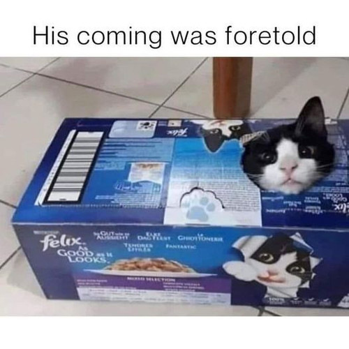 462245441 469577132778592 98234473539100703 n.jpg