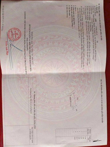 462265890 421147187681254 2409436503249398567 n.jpg