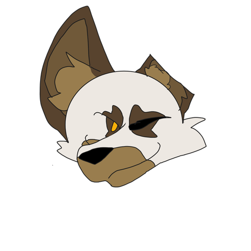 Untitled41 20241007160631.png