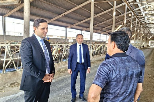 462222261 934452178715634 4102594303295750931 n.jpg?stp=dst jpg p526x395& nc cat=105&ccb=1 7& nc sid.jpg