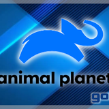 animalplanet gonjo.png