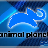 animalplanet gonjo