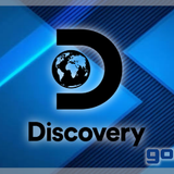 discovery gonjo