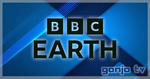 bbcearth gonjo.png