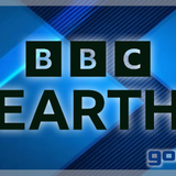 bbcearth gonjo