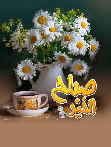 IMG 20241008 WA0007.jpg