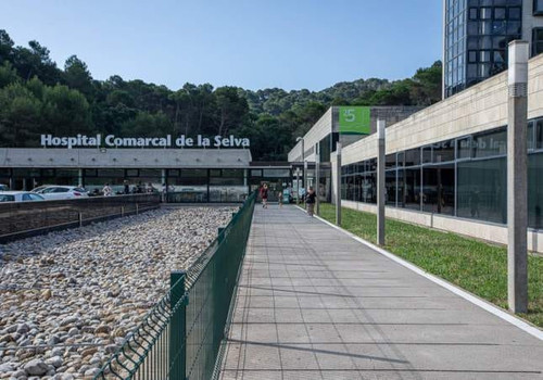 462317941 1045493020374492 4421257733330495628 n.jpg? nc cat=105&ccb=1 7& nc sid=833d8c& nc ohc=Tz5r.jpg