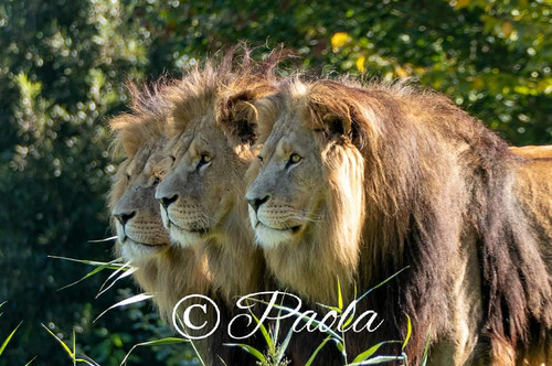 FB IMG 1728146702398.jpg