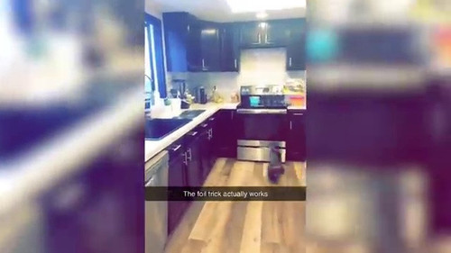 fc124aa0 61aa 45c5 85eb c093f54b10fe.jpg