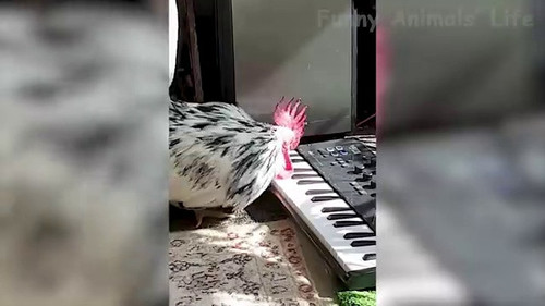 d03dfefd ebc4 44f2 b693 b43a5c94e605.jpg