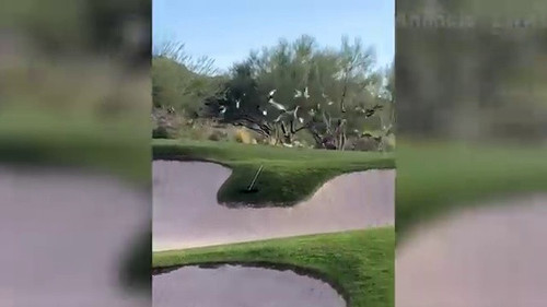 c9a095d2 4b8f 45e6 8d0e aea7246fcc3f.jpg