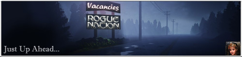 VSign Banner.jpg