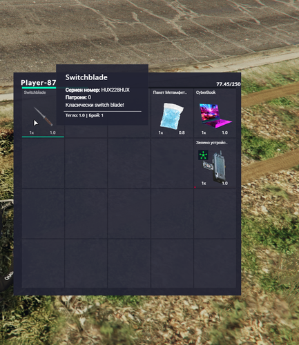 FiveM b2802 GTAProcess WQ0zq8T1ch.png