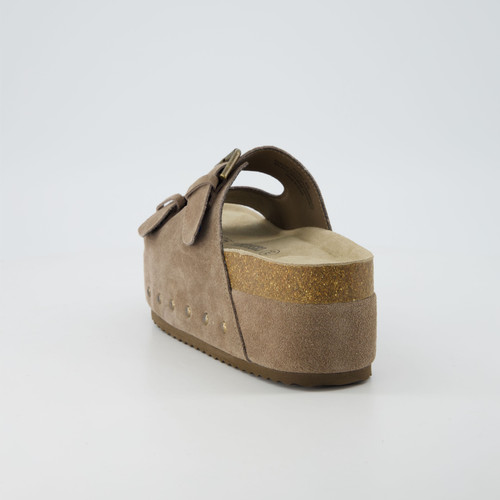 GURU TAUPE SD 5.jpg