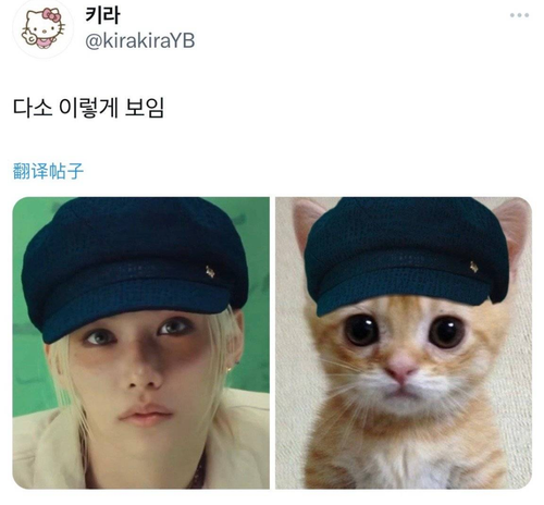 Screenshot 2024 0710 224402.png