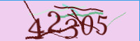 captcha.png